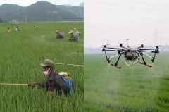 探秘極飛新疆：植保無(wú)人機(jī)到底用得怎么樣？